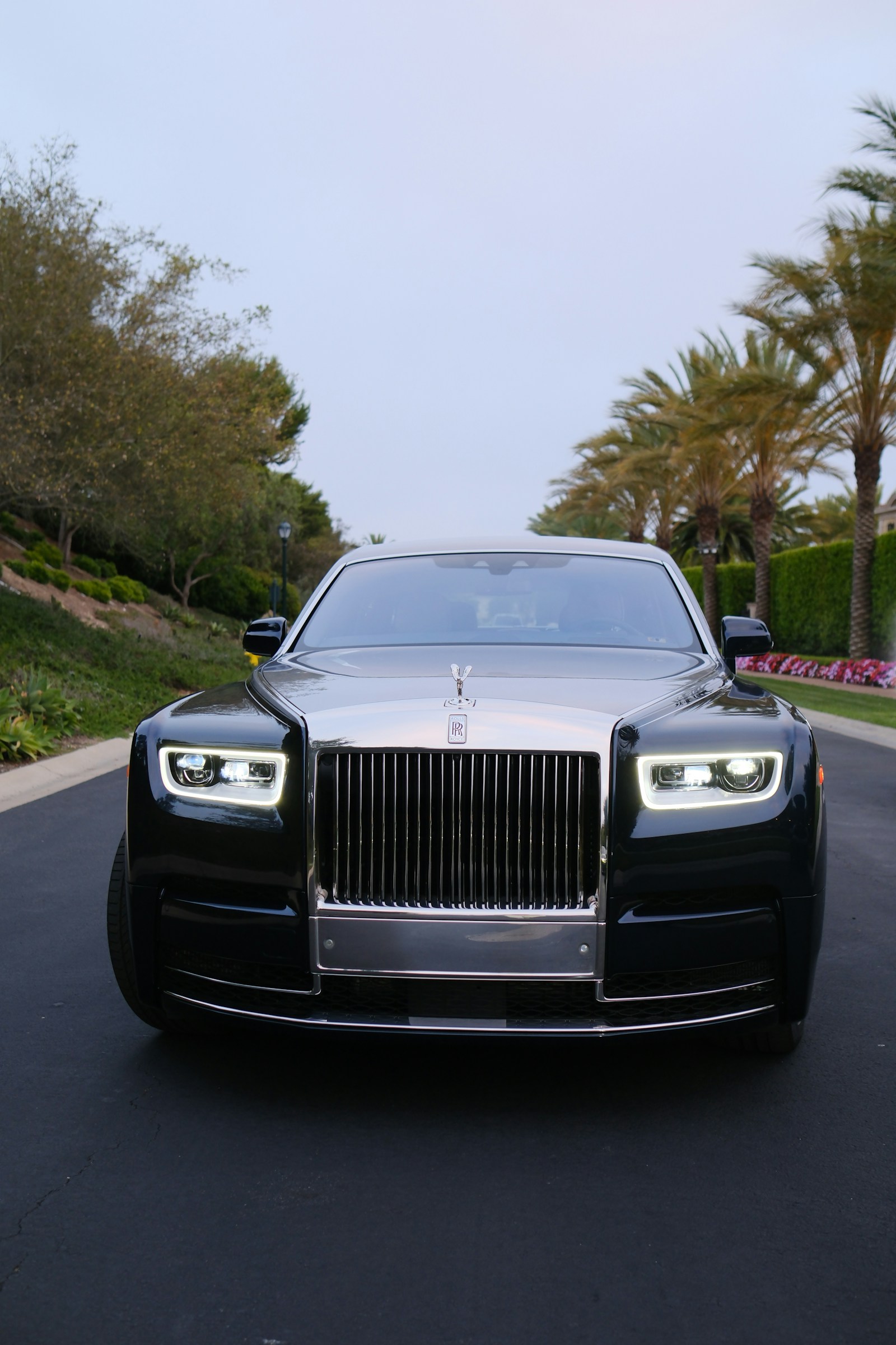 Luxury Cars
